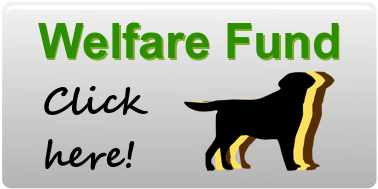 Welfare Fund