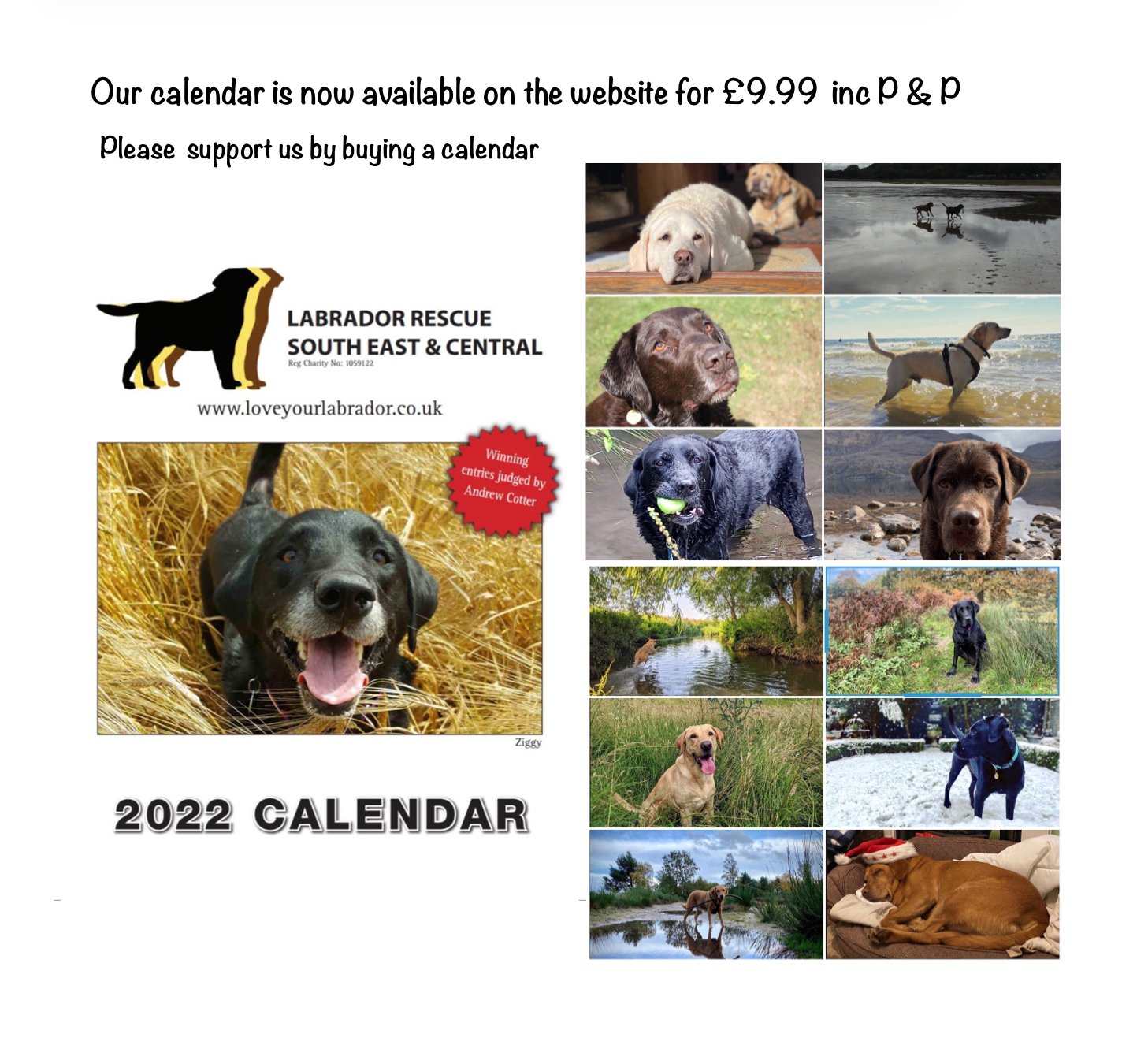 Calendar 2022 - Labrador Rescue South East & Central