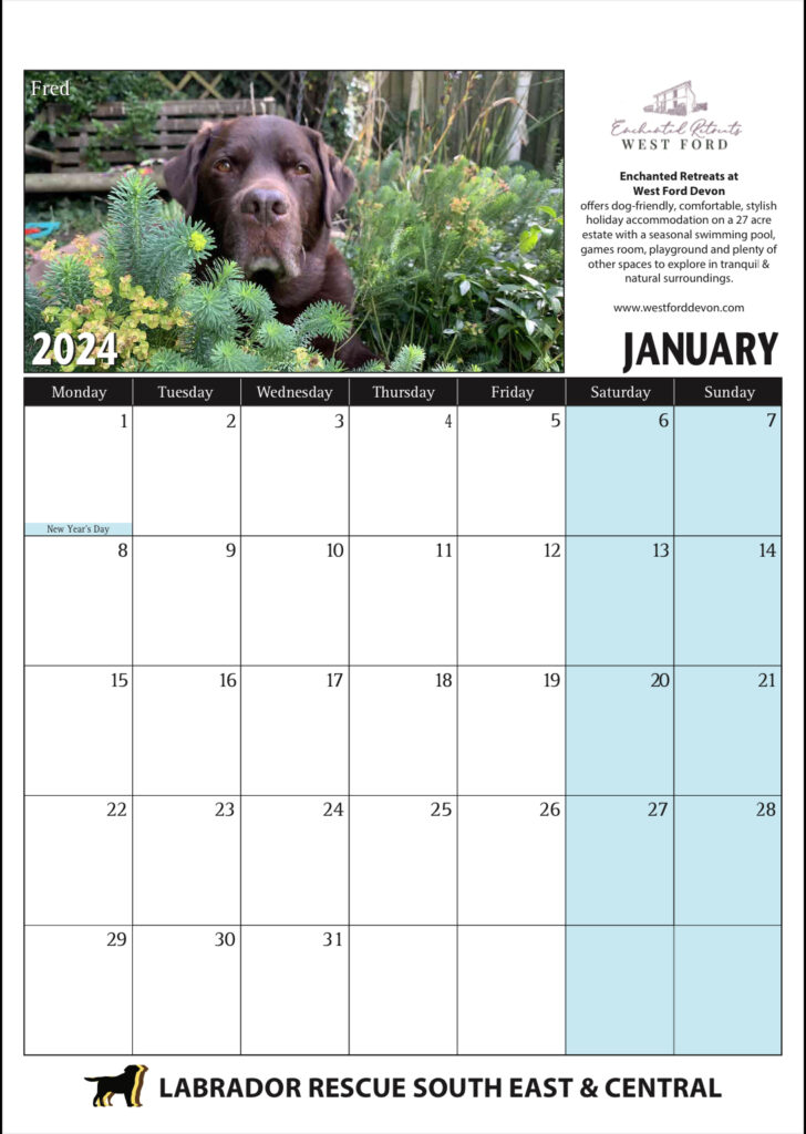 Layout calendar